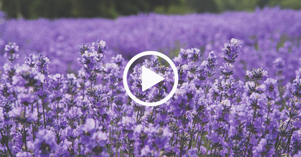 Talaba bilan yashirin kamera jinsiy aloqa