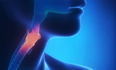 Fond de ten Pure Foundation